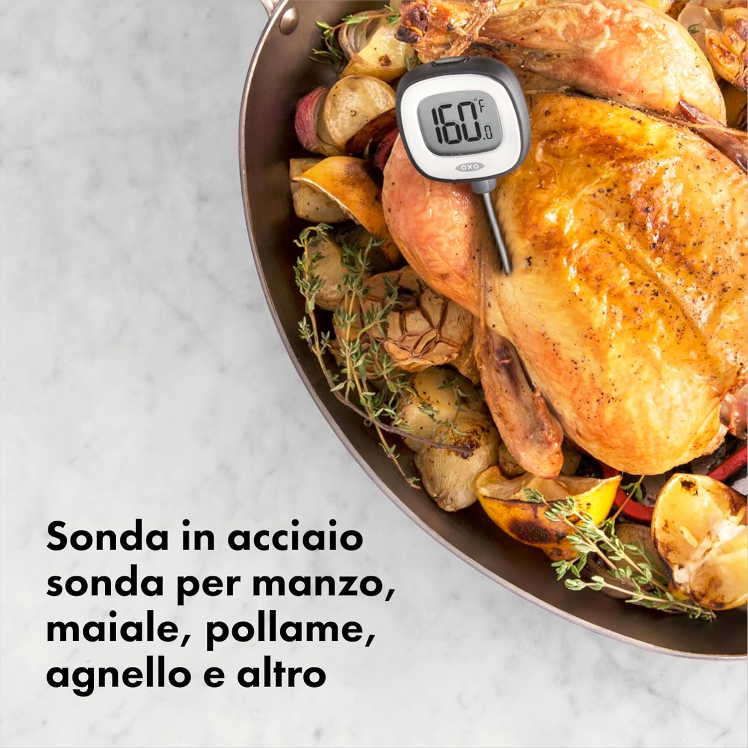 Termometro da cucina (lettura istantanea)