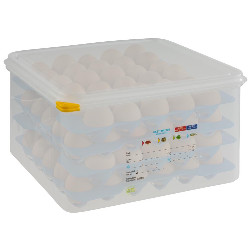 Contenitore per uova, GN 2/3