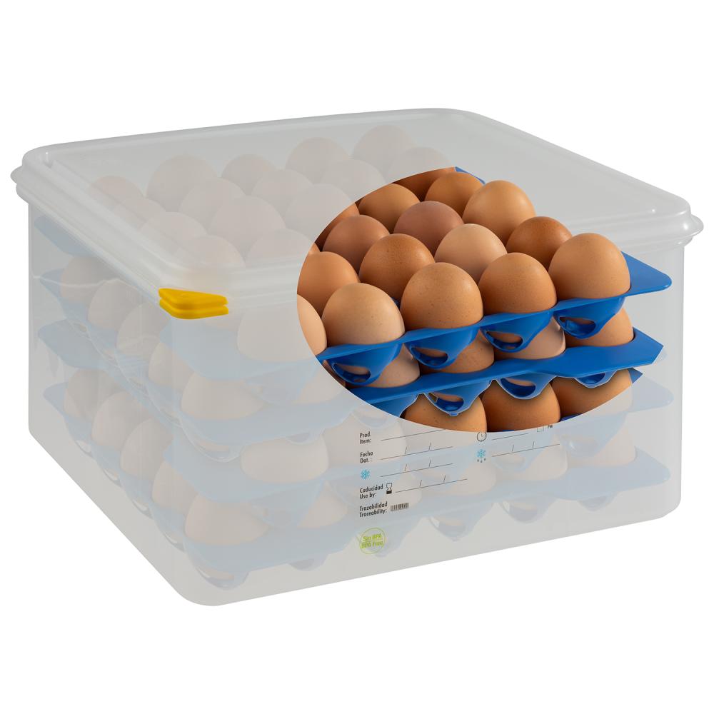 Contenitore per uova, GN 2/3