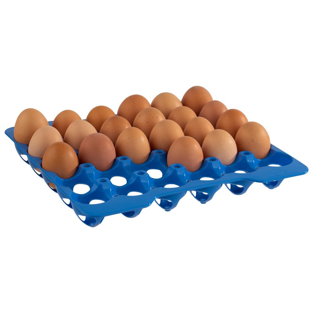 10 strati per la scatola delle uova