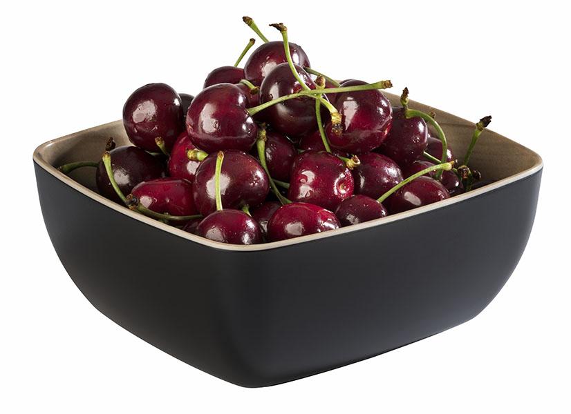 Ciotola GN 1/6 -FRIDA-